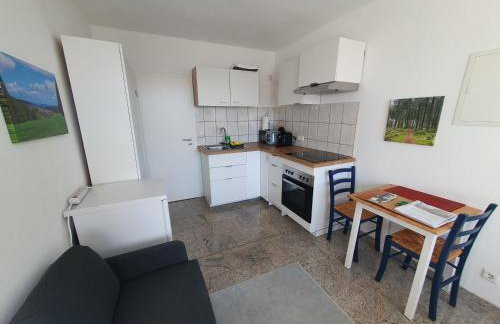 1-Zimmer-Wohnung-EG Fewo 2 Rupertsberg - Foto 6