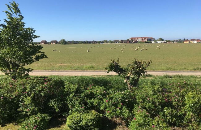 Blauort in Friedrichskoog-spitze - Foto 13