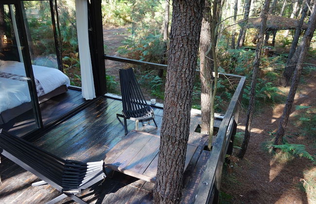 Les Landines - Foto 16