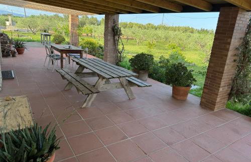 Masia en el Delta del Ebro - Foto 10