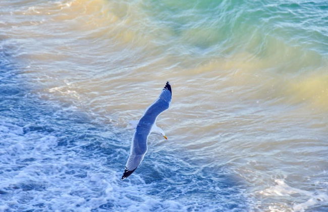 Vela D'oro - Photo 15