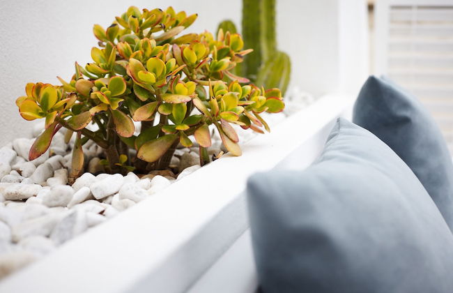 Casetta Zio Franco - Foto 33