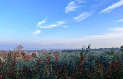 Modern House Ancient Pydna - Foto 18