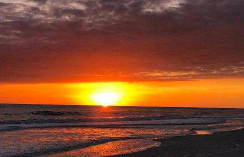 Blue Paradise - Foto 53