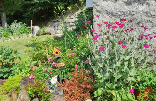 Soggiorno Vacanze Stella Alpina - Foto 18