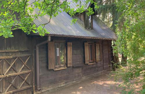 Dom z linią brzegową Narwi 2 - Photo 16