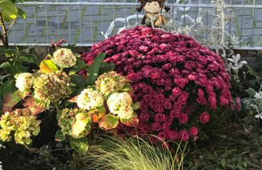 Feriendomizil Dornum Haus Willy mit Wintergarten und Wallbox - Foto 43