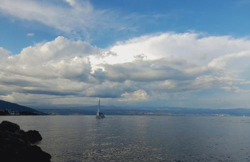 Apartment Pinia with free parking - Photo 22