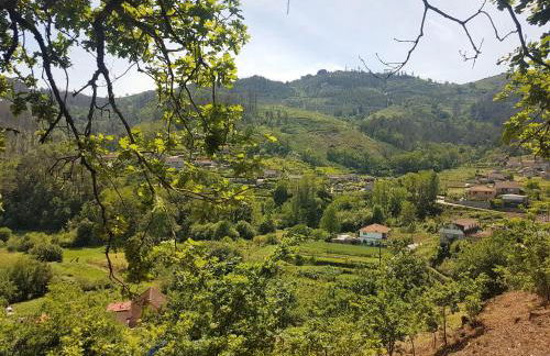 O Eido de Celia - Foto 48