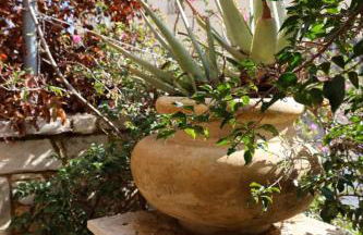 STONE of KAMARIZA - Foto 43