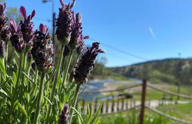 Stodoła Nad Skawą - Foto 8