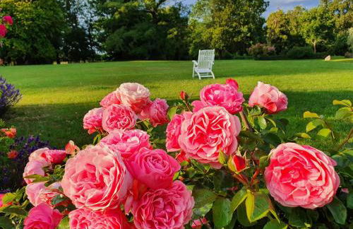 Historic Apartment in Gerdshagen With Garden - Foto 108