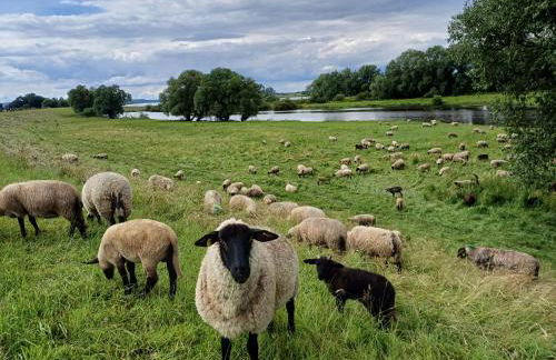 Ferienwohnung Wussegel - Foto 33