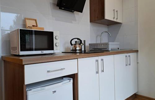 Noclegi Pod Modrzewiem - Foto 10