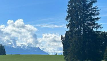 Rustico di Angelo - Foto 2