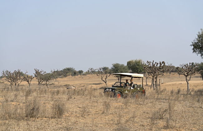 Alsisar Mahal - A Heritage Hotel - Foto 31