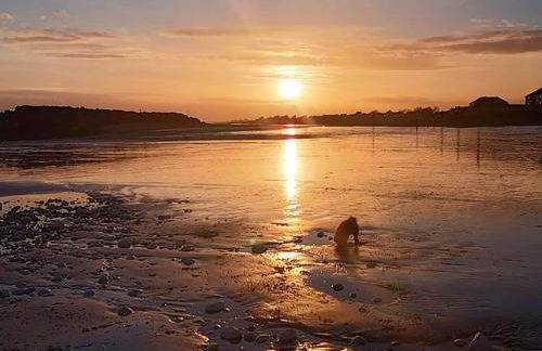 Pebble Cottage - Foto 26