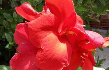 Serene Views - Foto 33