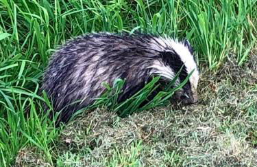Wilf's Barn, romantic cottage with free parking - Foto 39