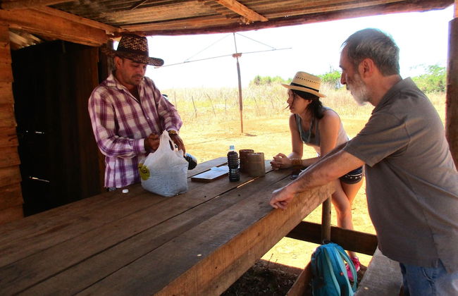 Villa in Viñales with garden and terrace - Photo 14