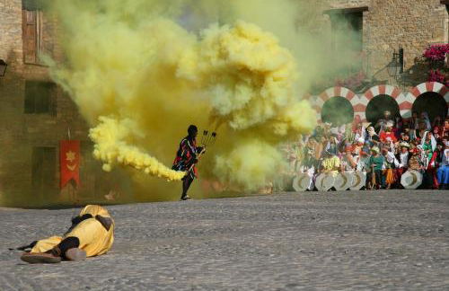 Apartamentos Best Ainsa - Photo 66