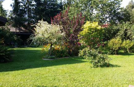 Kwiatowa Zagroda - Foto 5