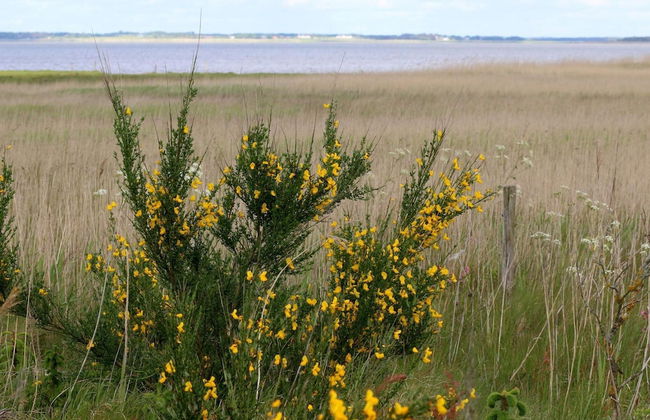 Simplistic Holiday Home in OksbÃ¸l near Sea - Foto 4