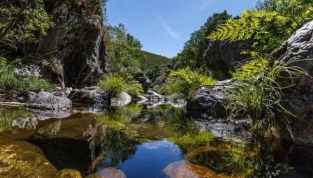 Toca da Sede - Foto 3