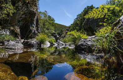 Casa do Terreiro - Foto 8