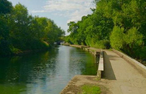 Family Studio Garden view 5min to Elizabeth Line - Foto 40
