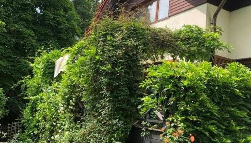 Leśna 6 - House with a garden - Foto 5