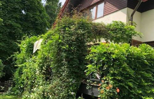 Leśna 6 - House with a garden - Foto 5