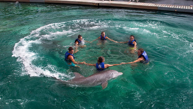 Nado con delfines + Xel-Há - Foto 5