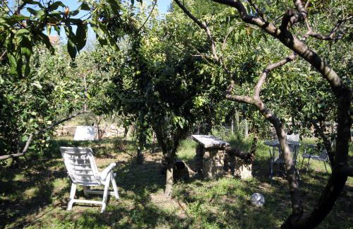 Apartments with WiFi Groznjan, Central Istria - Sredisnja Istra - 7038 - Foto 10