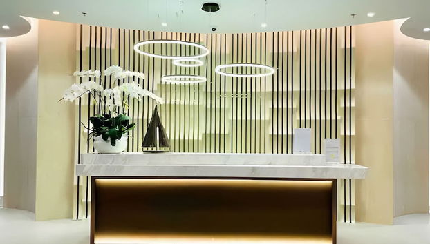 The Song Luxury Apartment - Vung Tau - Foto 2, Recepción