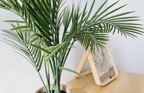 Boho Arenal Bol - Foto 30