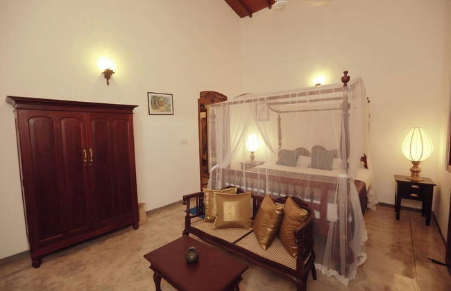 The Ginger House - Photo 7