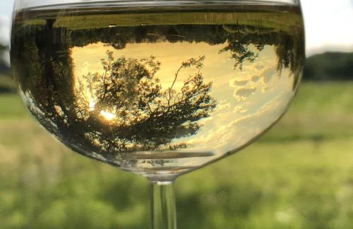 Fontanehof - Foto 28