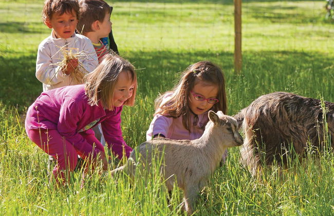 Club Vacances Bleues Domaine de Château Laval - Photo 54