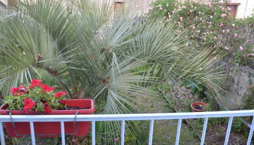 LES QUAIS DE NERAC - Foto 5