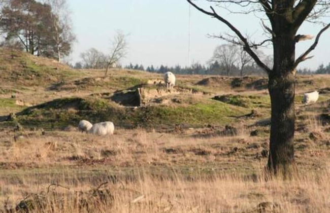 Unique Holiday Home in Noordwolde With Garden - Foto 36