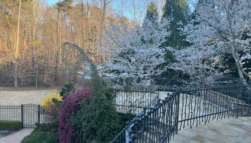 Luxury Villa in Cary - Raleigh - Foto 3, Garden, Garden view