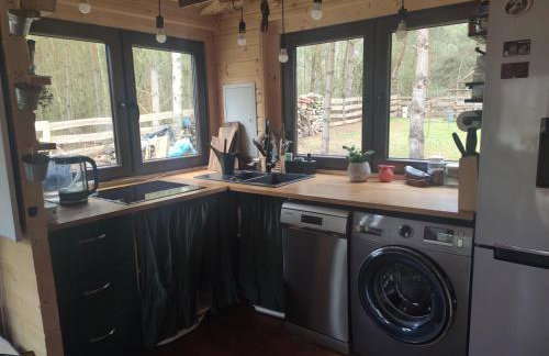 Przystań Zakapiora - Foto 15