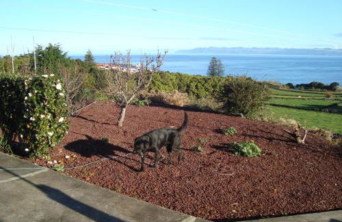 Casa Do Canto # PICO HOLIDAY RENTALS - Photo 20