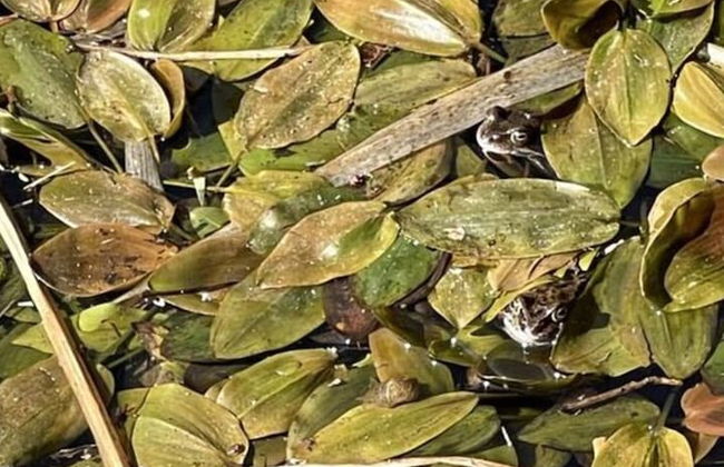 Holiday Apartment Anderewelt-bochum - Foto 25