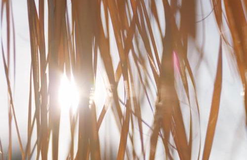 Villa Piladi - Foto 80