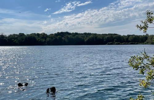 Leben am See - Foto 21