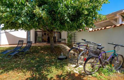 Rona apartments Lavanda and Lipa - Photo 39