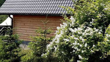 Villa Róża - Foto 3