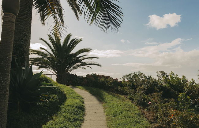 Moinho das Feteiras - Foto 52
